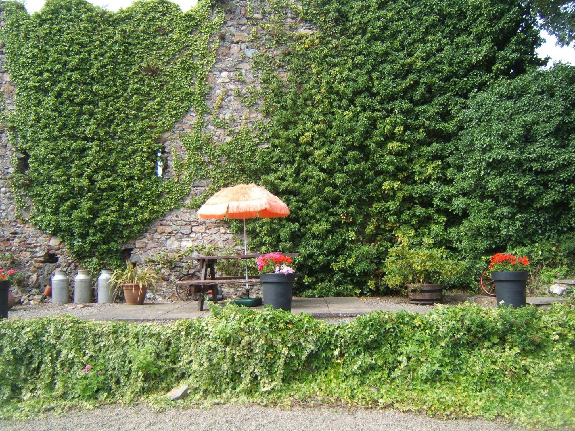 Faythe Guesthouse ウェックスフォード エクステリア 写真